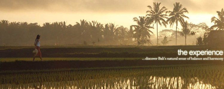 Kayu Manis, Jimbaran