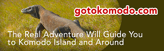 Go To Komodo Tour & Travel